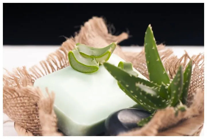Aloe Vera Soap Making: How to Make Your own Aloe Vera Soap Bar at Home.