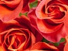 Rose Victorian - Fragrance Oil