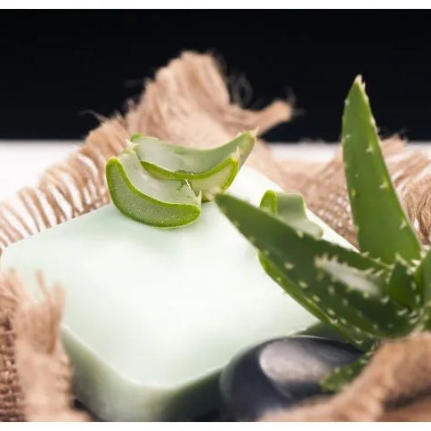 Aloe Vera Soap Making: How to Make Your own Aloe Vera Soap Bar at Home.