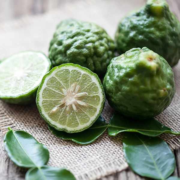 Bergamot & Patchouli - Fragrance Oil (Luxaroma)