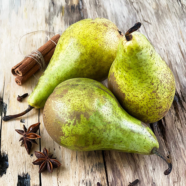 Black Musk & Pear - Fragrance Oil (Luxaroma)