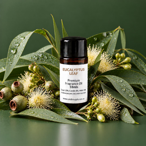 Eucalyptus Leaf fragrance oil bottle with eucalyptus leaves, gum nuts, buds and cream blossoms dotted with water droplets.