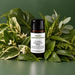 Fresh Garden Leaves fragrance oil bottle with mixed green foliage, variegated leaves, moss and small white flowers.