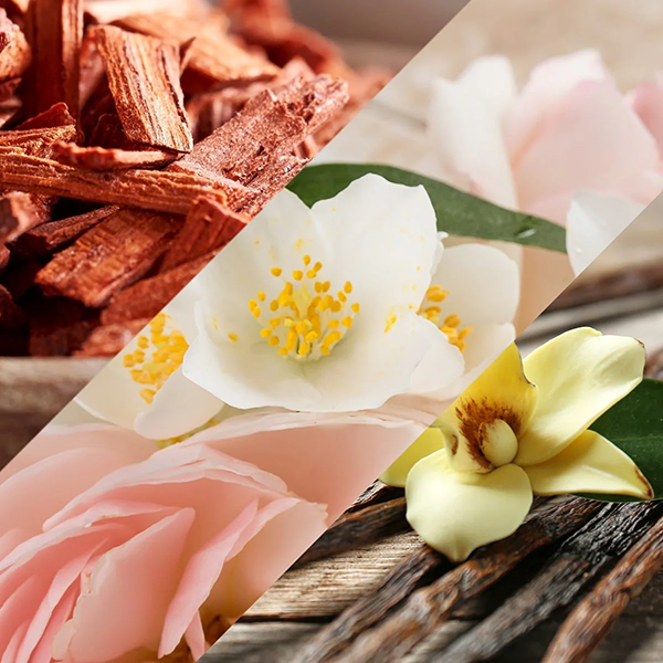 Vanilla Patchouli & Sandalwood - Fragrance Oil (Luxaroma)