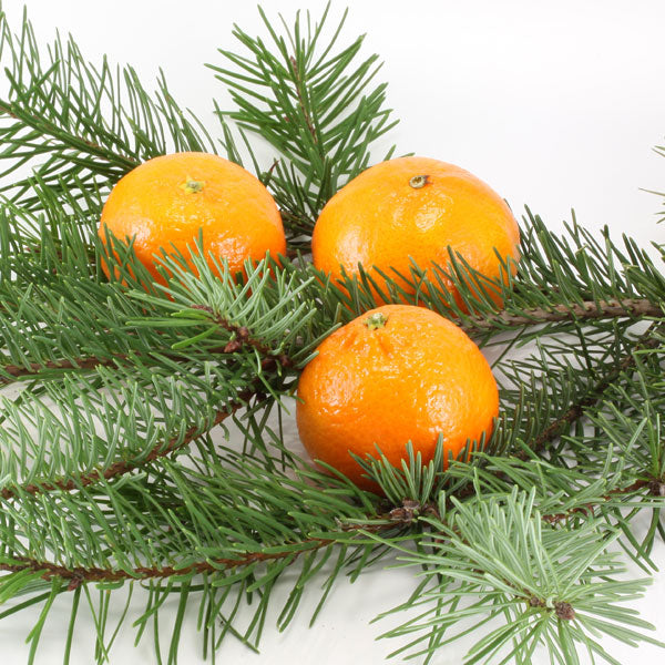Citrus Spruce - Diffuser Fragrance