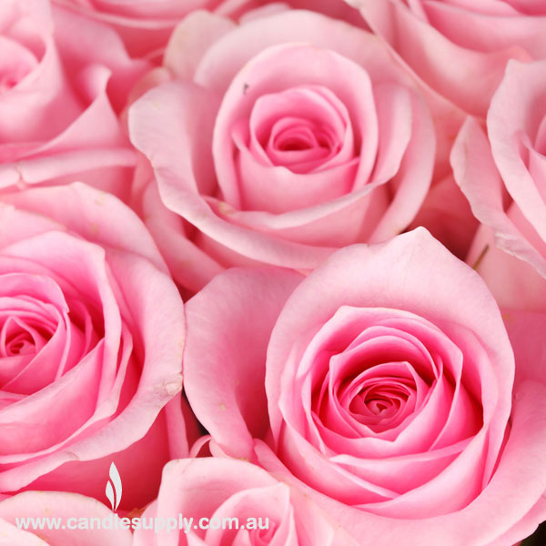 Rose - Diffuser Fragrance