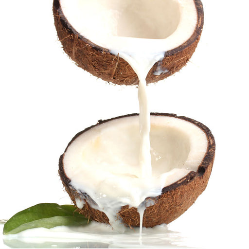 Coconut Milk - Fragrance Oil