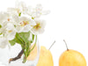 English Pear & Freesia 'Type' - Fragrance Oil