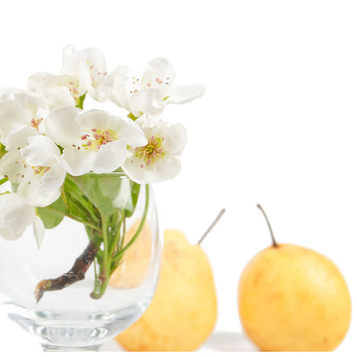 English Pear & Freesia 'Type' - Fragrance Oil