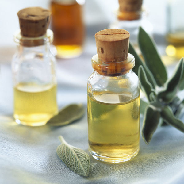 Buy Citrus Sage Fragrance Oil Online Candle Supply