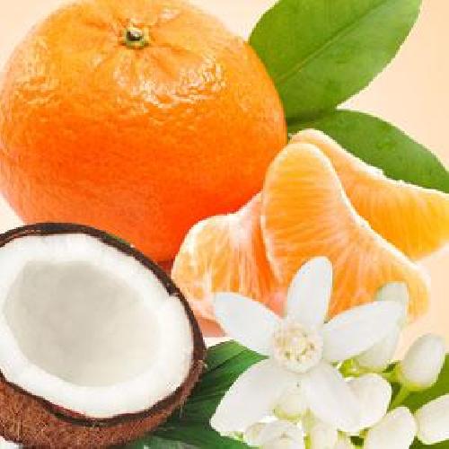 Coconut & Mandarin - Fragrance Oil