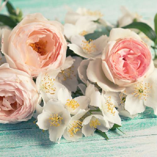 Pink Rose & Jasmine - Fragrance oil