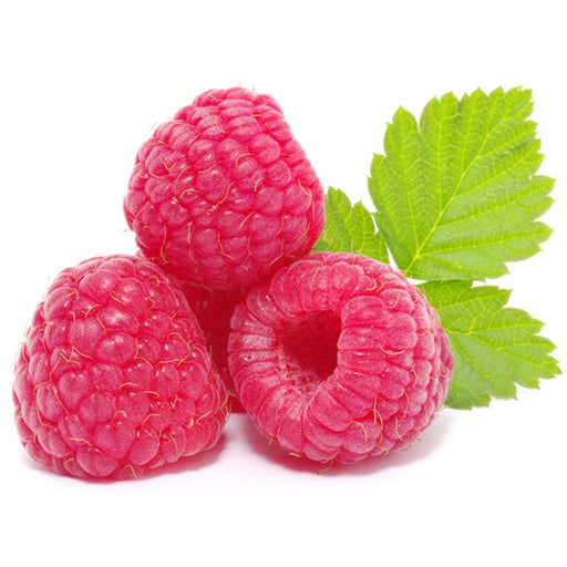 Lemon Sugar Raspberry - Fragrance Oil