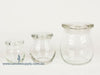 Candalina Jars - Clear Glass - Large