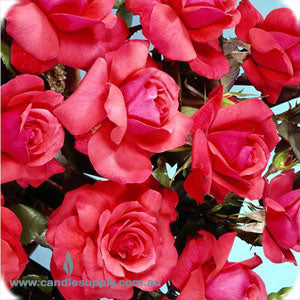 Persian Rose - Fragrance Oil