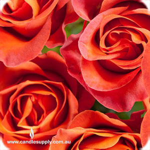 Rose Victorian - Diffuser Fragrance