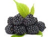 Black Raspberry Sugar - Fragrance Oil