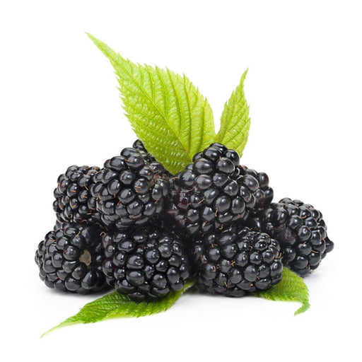 Black Raspberry Sugar - Fragrance Oil