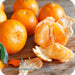 Lime Basil Mandarin - 'Jo Malone Classic' Type - Fragrance Oil