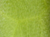 Feathering - Pillar & Votive Palm Wax
